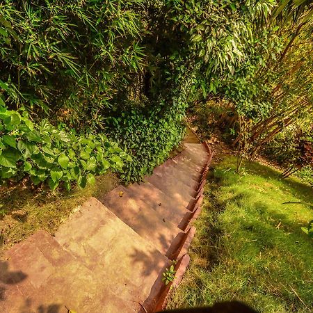 ホテルFinca Punta Ayampe Jipijapa エクステリア 写真