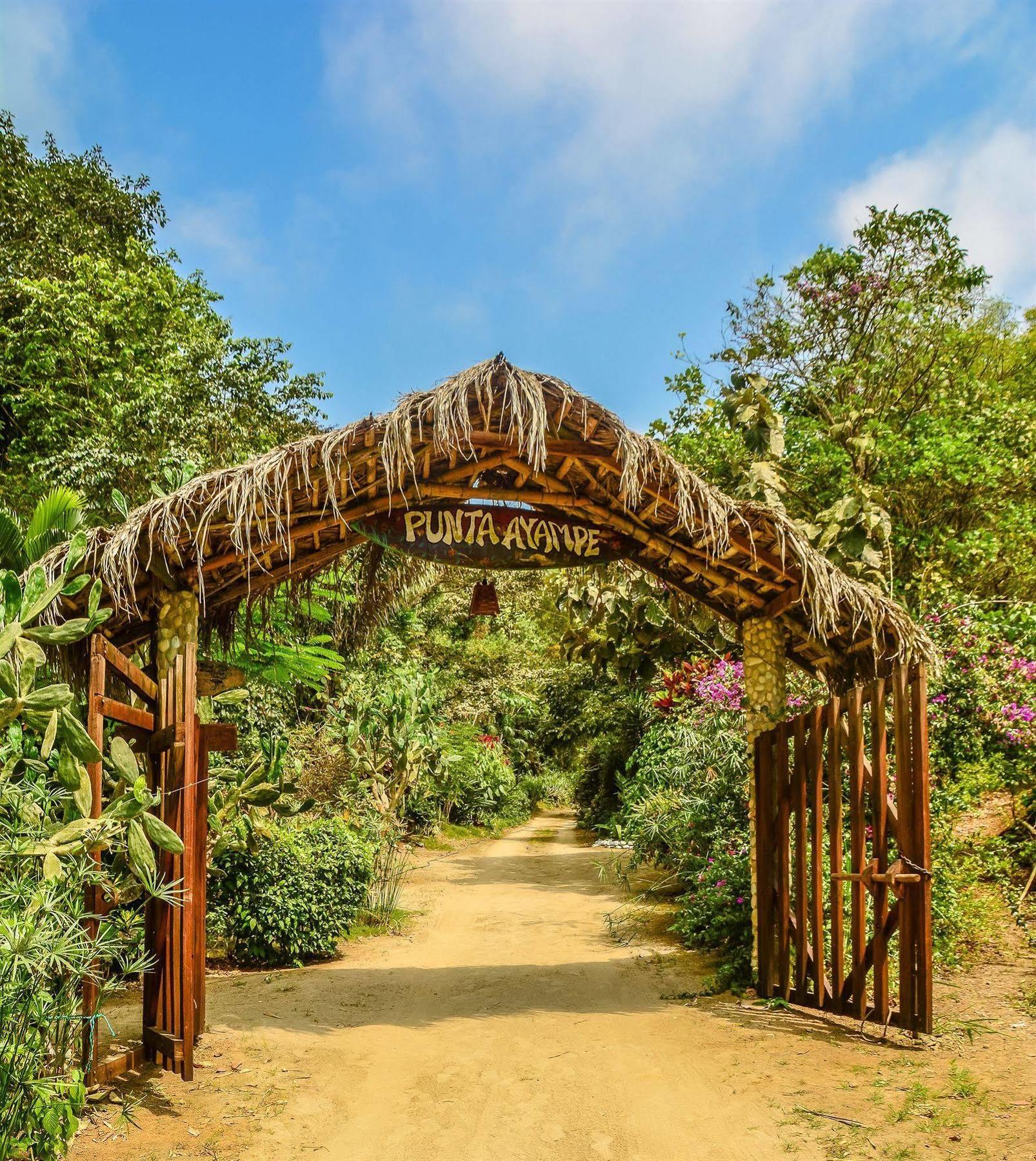 ホテルFinca Punta Ayampe Jipijapa エクステリア 写真